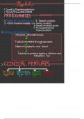 Summary Essentials of Medical Microbiology -  1124 &lpar;MBBS&rpar;