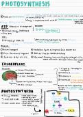 Photosynthesis-Topic 5 Alevel Biology Edexcel A Year 2