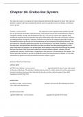 Chapter 16&colon; Endocrine System Actual Review Exam Questions And Correct Detailed Answers&period;