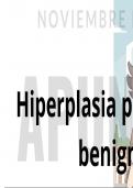 HIPERPLASIA PROSTATICA BENIGNA &lpar;H&period;P&period;B&rpar; - APUNTES 2024