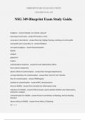 NSG 349-Blueprint Exam Study Guide&period;