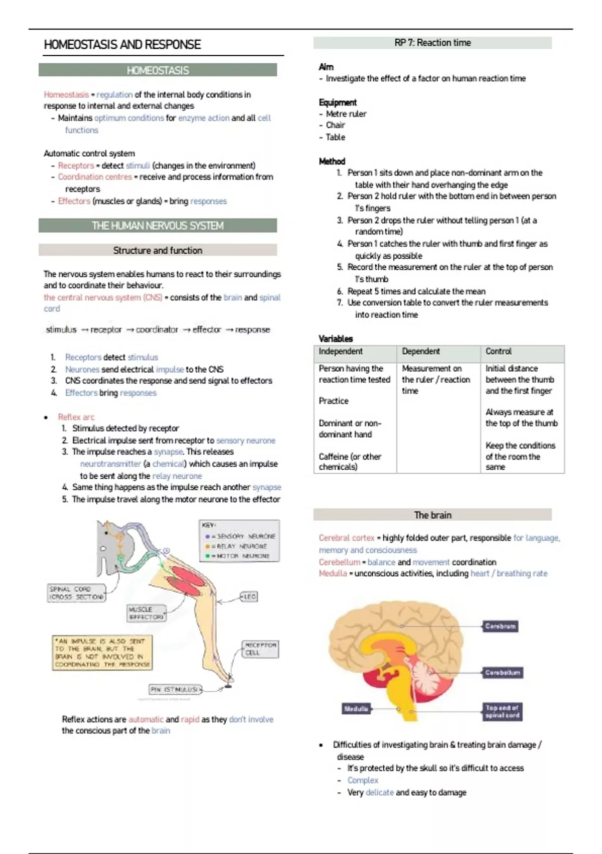 Biology Paper 2 Notes.pdf AQA GCSE Biology paper 2 summary notes - Science - Stuvia UK
