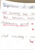 Social Psychology Final Exam Comprehensive Notes &lpar;Full Summary&rpar;