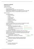 Rapporteren 