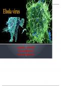 Ebola virus