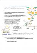 STOFWISSELING EN ENDOCRINOLOGIE HOORCOLLEGE SAMENVATTING