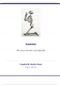 Anatomy-The Large Intestine and Appendix