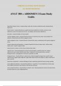 ANAT 380 &equals; ABDOMEN I Exam Study Guide&period;