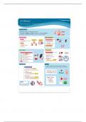 Medical surgical nursing GI bleed study guide&period;