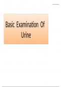 Urine Analysis Study Notes&colon; Concepts for USMLE and NEET PG