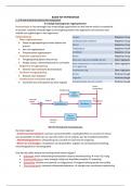 Aantekeningen Basis tot Homeostase tot kerstvakantie HC-01-HC-22 &lpar;&plus;HC-30&rpar;