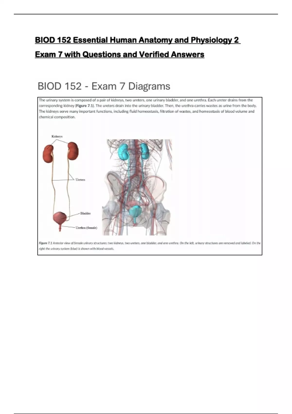 Package deal for BIOD 152 Essential Human Anatomy and Physiology 2 Exam ...