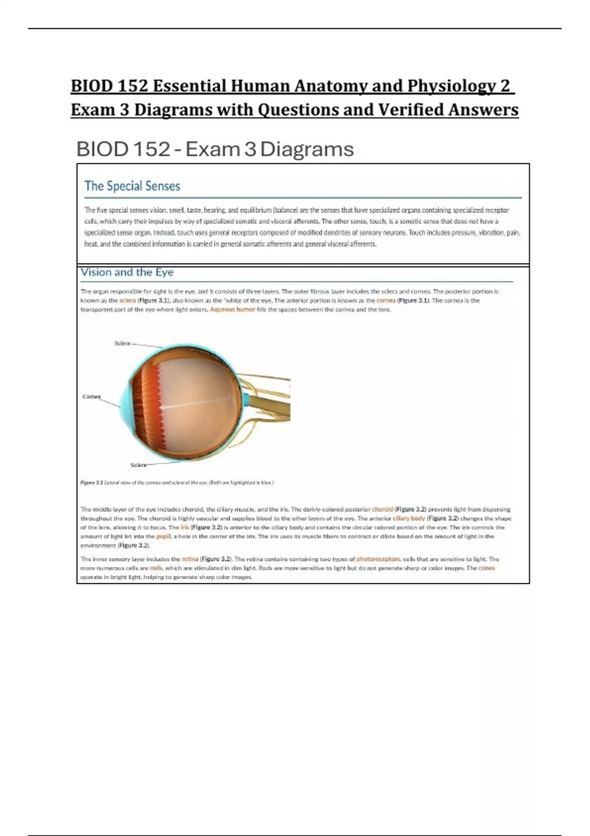 BIOD 152 Essential Human Anatomy and Physiology 2 Exam 3 Diagrams with ...
