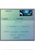 Presentation on The Human Immune system