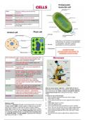 GCSE CCEA - Triple Award Biology full course notes