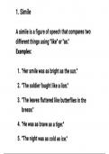 10 literacy devices names and examples