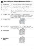 Dental Anatomy Exam 1 Questions With Complete Solutions 