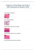 Anatomy & Physiology Lab Exam 1 With Questions & Answers 2025