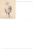Osteologie Anatomie 1&colon; overzicht