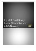 Crj 203 Final Study  Guide &lpar;Exam Review  2025 Newest&rpar;