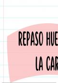Tema complicado para el estudiante de medicina&period;&period;&period; CABEZA Y CUELLO&excl;&excl; Aca te dejo algunos documentos para que tu estudio sea mas llevadero&period;