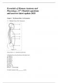 Essentials of Human Anatomy and Physiology&comma; 11th &lpar;Marieb&rpar; questions  and answers latest update 2025
