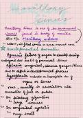 maxillary sinus