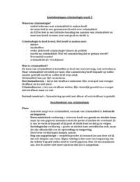 Aantekeningen Criminologie 