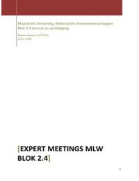 Expert Meetings block 2&period;4 MLW attack and defense