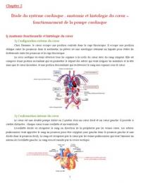 Etude du système cardiaque