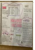 Mindmap hoofdstuk 3&period;3 biologie voor jou 