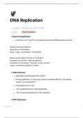 DNA Replication Notes