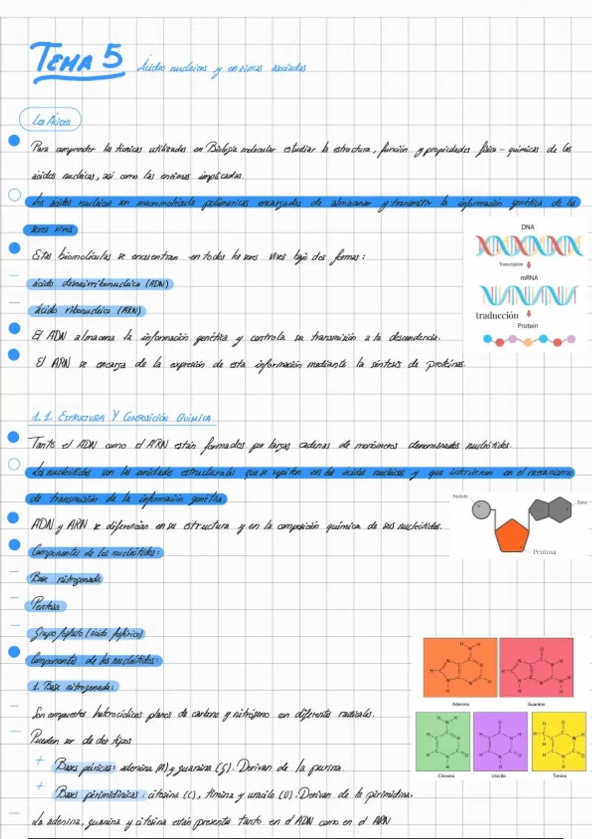 Tema 5 ácidos nucleicos y enzimas asociadas - Anatomía patológica ya ...