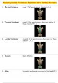 Anatomy Bones &lpar;Vertebrae&rpar; Test with 100&percnt; Verified Answers