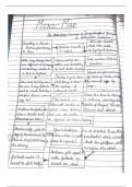 Class 11 ncert english hornbill&comma; The Adventure best Mindmap 