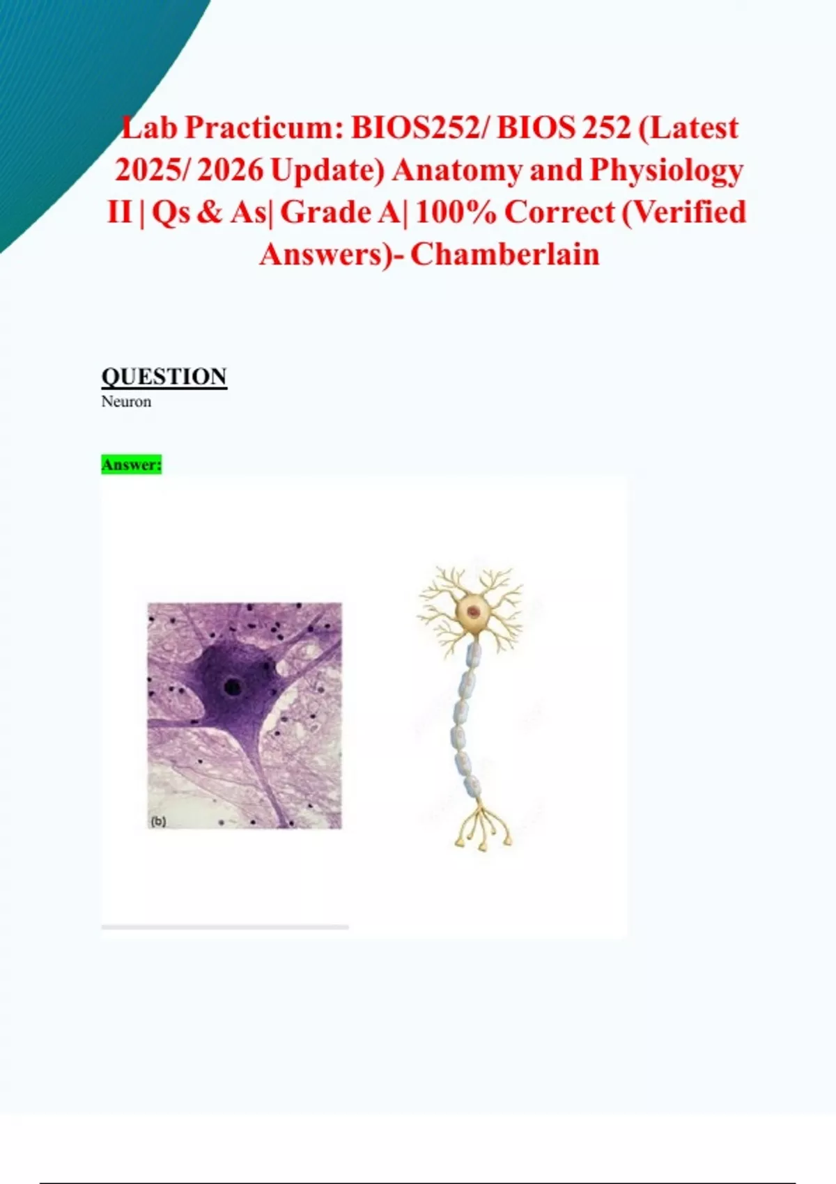 Exam 3, Comprehensive & Lab: BIOS252/ BIOS 252 (New 2025/ 2026 Updates ...