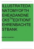 illustrated&lowbar;anatomy&lowbar;of&lowbar;the&lowbar;head&lowbar;and&lowbar;neck&lowbar;5th&lowbar;edition&lowbar;testbank&period;pdf