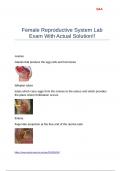 Female Reproductive System Lab Exam With Actual Solution&excl;&excl;