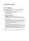 Voordeelbundel Sociale Psychologie &lpar;samenvattingen en alle hoorcollegeslides&rpar;