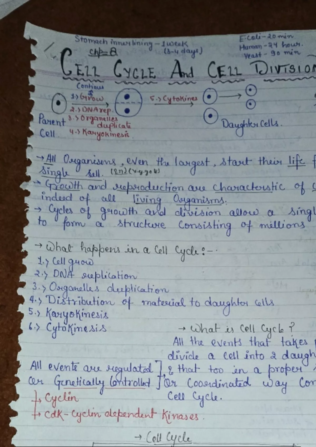 Class notes NEET A Truly NCERT Biology - NEET - Stuvia US