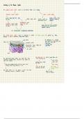 Neuroscience - BASIC SUMMARY
