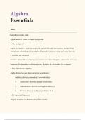Algebra Basics Study Guide