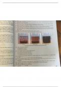 9th grade&comma; matter in our surroundings questions