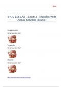 BIOL 318 LAB - Exam 2 - Muscles With Actual Solution &lpar;2025&rpar;&excl;&excl;