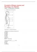 Essentials of Human Anatomy and Physiology&comma; 11e &lpar;Marieb&rpar; Study questions with complete solutions 