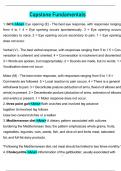 Capstone Fundamentals Assessment Questions and Answers Verified Answers&lpar;2025&sol;2026&rpar;