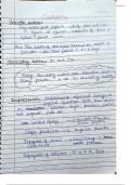 Latest Preview Thumbnail