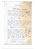 Chemical Reactions & Equations