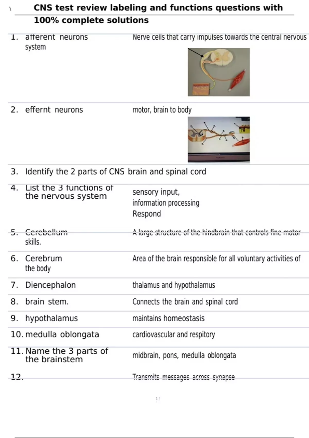 CNS test review labeling and functions questions with 100% complete ...
