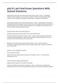 pGLO Lab Final Exam Questions With Solved Solutions&period;